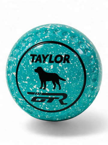 Taylor GTR Mint/White Dog Size 0 Half Pipe 34 Stamp
