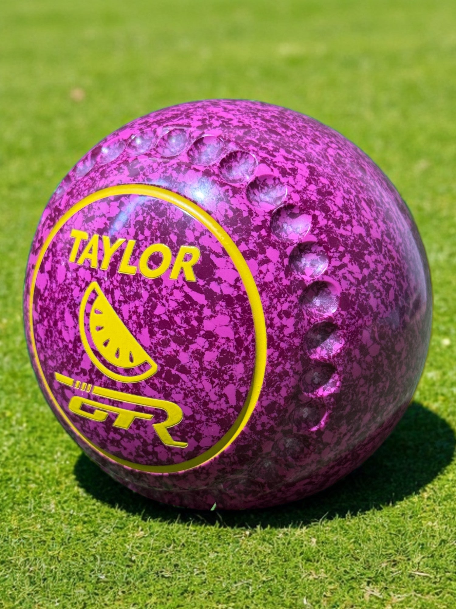 Taylor GTR Raspberry Ripple Lemon Slice Size 2 Half Pipe 34 Stamp