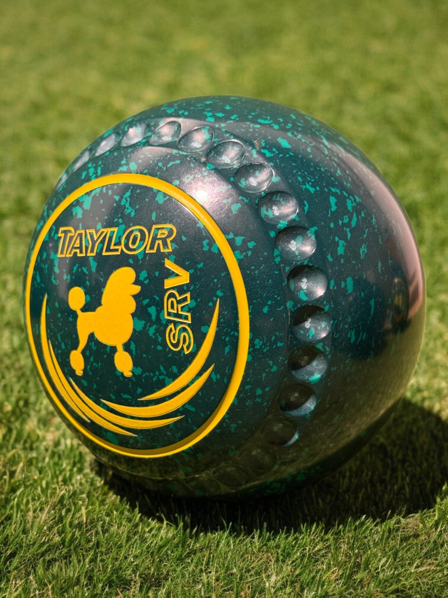 Taylor SRV Dark Green/Green Dog Size 3 Half Pipe 34 Stamp