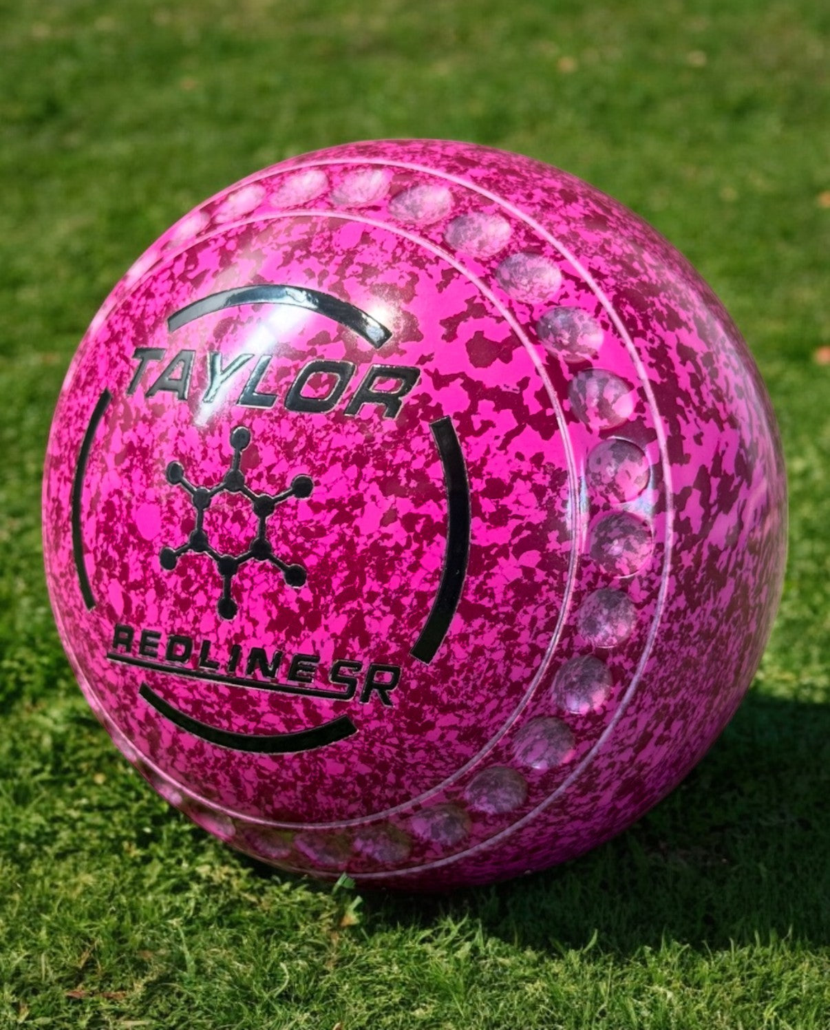 collection-banner-image